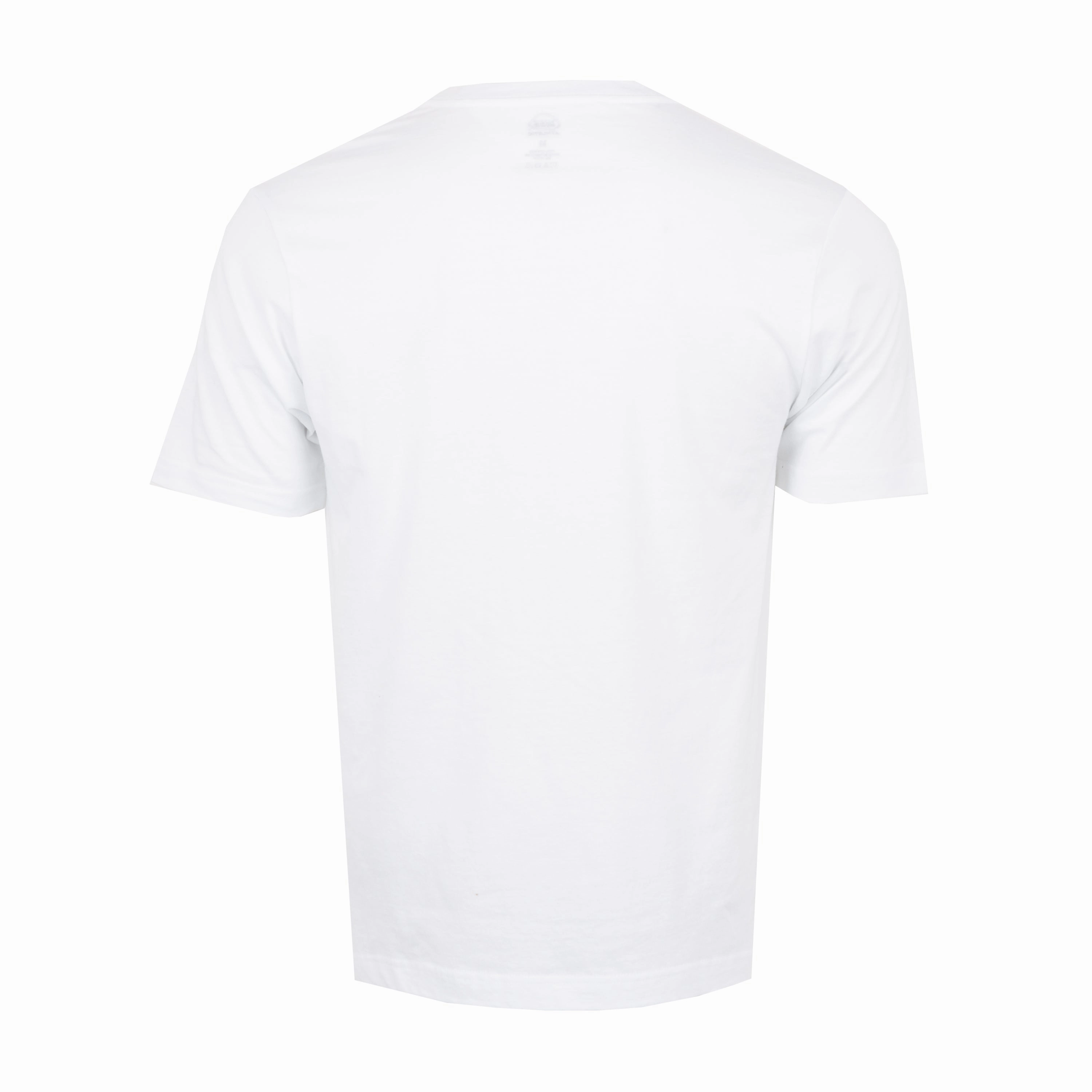 Everyday Fit Classic Vneck Tee - Mens