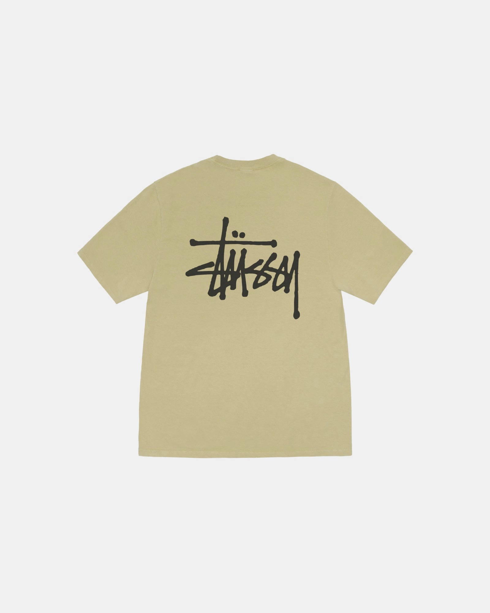 BASIC STUSSY PIG. DYED TEE Classic Outfit