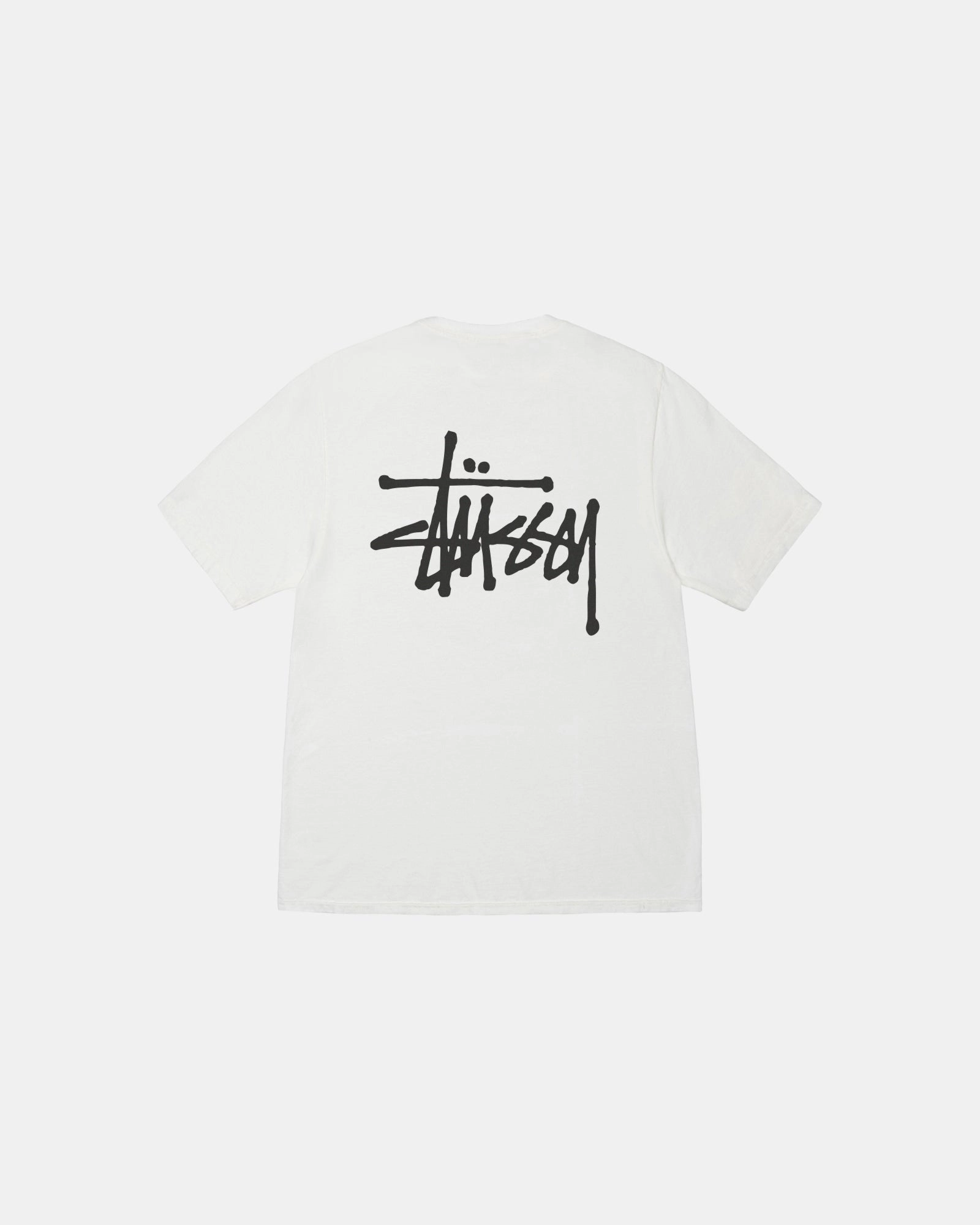 BASIC STUSSY PIG. DYED TEE Simple Comfort Look LayeredHemDetails