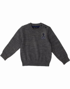 GUESS Baby Boys Graphic Crew Neck Jumper Sweater 9-12 Months Grey Classic MultiDirectional Stretch