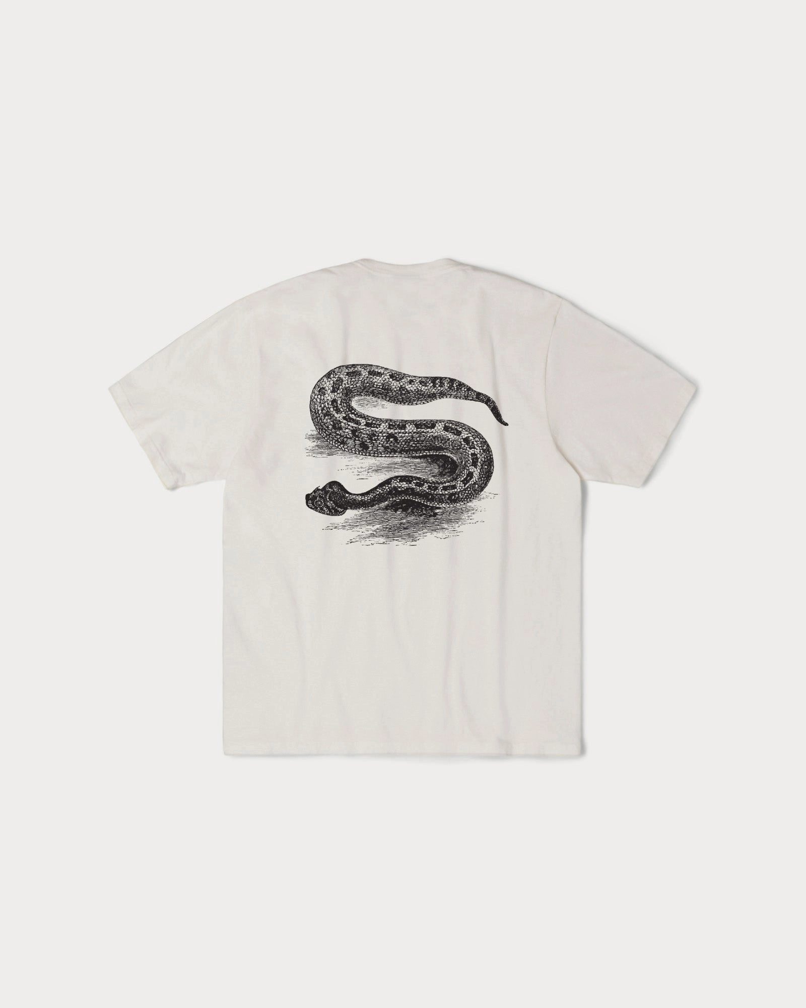 SERPENT PIG. DYED TEE Timeless Fit