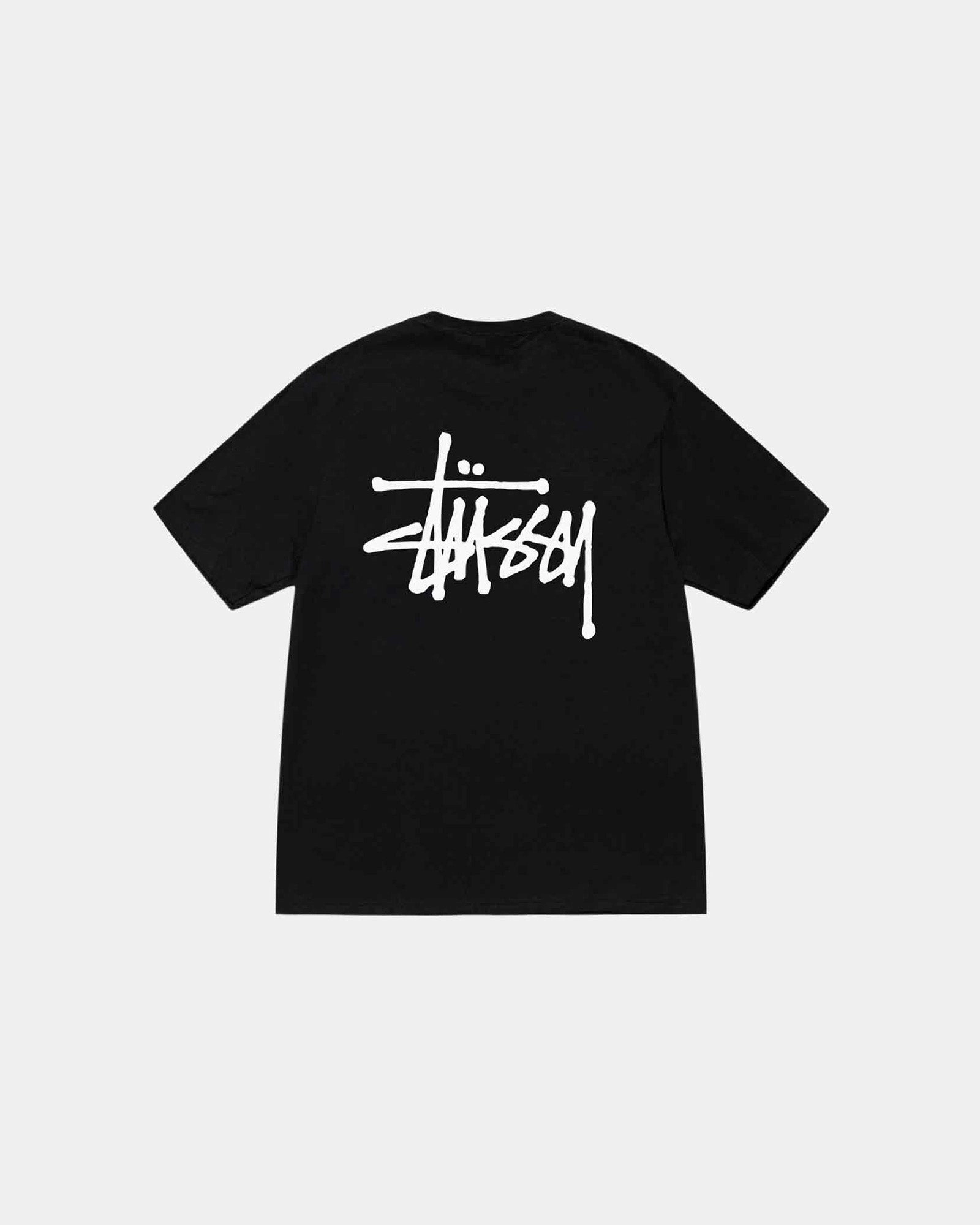 BASIC STUSSY TEE hiking clothes