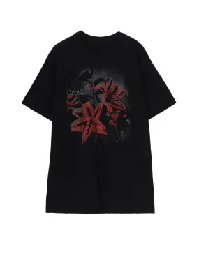 20/COTTON JERSEY LILLY T-SHIRT Flexible Knit Non Iron