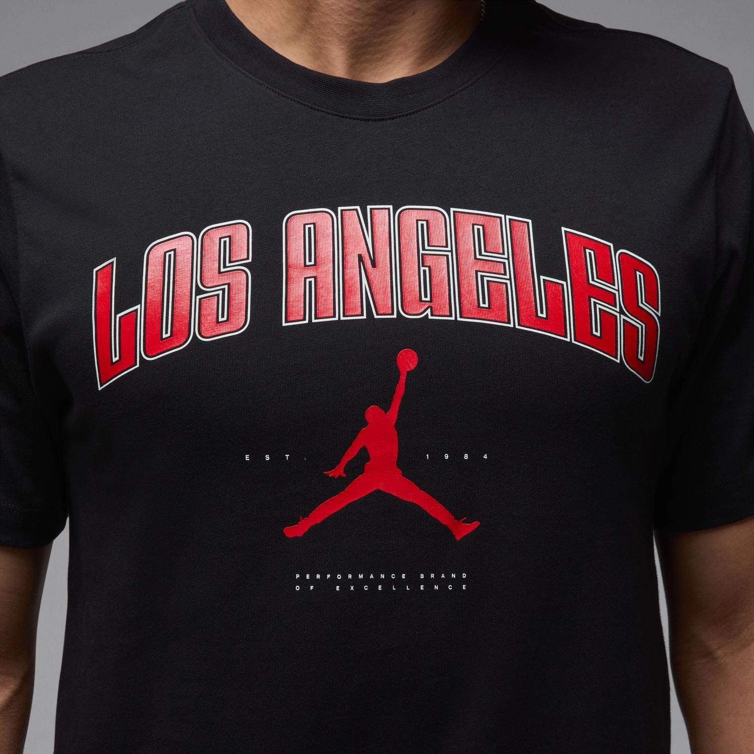 Soft Material MJ Los Angeles City Tee -Mens